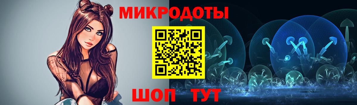 Псилоцибиновые грибы Cubensis Грозный